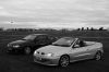 Picture_078.jpg
