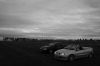 Picture_079.jpg