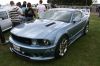 Picture_299.jpg